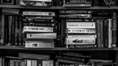 full frame shot of shelf